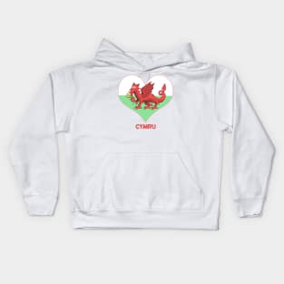 Welsh Dragon With Heart Kids Hoodie
